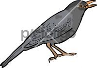 Indian BlackbirdFreehand Image