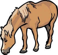 PonyFreehand Image