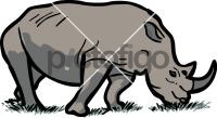 RhinocerosFreehand Image