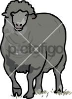 SheepFreehand Image