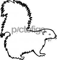 SkunkFreehand Image