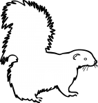 Skunk freehand drawings