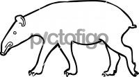 TapirFreehand Image