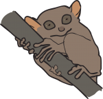 Tarsier