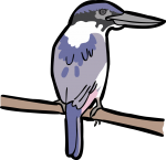 Ultramarine Kingfisher freehand drawings