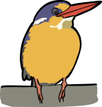 Variable Dwarf Kingfisher freehand drawings