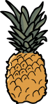 Pineapple freehand drawings