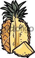 PineappleFreehand Image