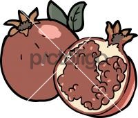 Pomegranate