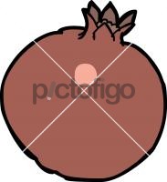 PomegranateFreehand Image