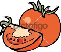 TomatoFreehand Image