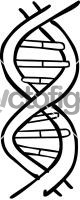 DNA