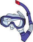 Swimming Goggles