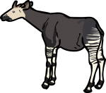 Okapi freehand drawings