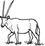 Oryx