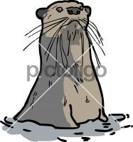 OtterFreehand Image