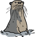 Otter freehand drawings