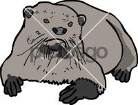OtterFreehand Image