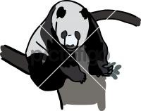 PandaFreehand Image