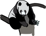 Panda freehand drawings