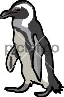 PenguinFreehand Image