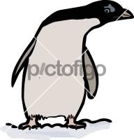 PenguinFreehand Image