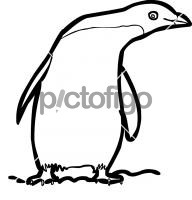 PenguinFreehand Image