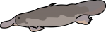 Platypus