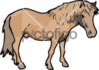 PonyFreehand Image