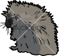 Porcupine