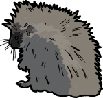 Porcupine