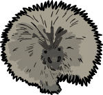 Porcupine freehand drawings