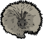 Porcupine