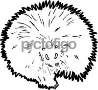 Porcupine