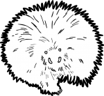 Porcupine