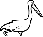 Jabiru freehand drawings