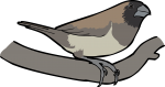 Javan Munia