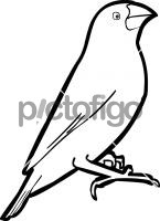 Java SparrowFreehand Image