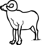 Ram