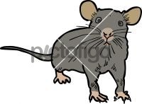 RatFreehand Image