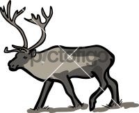 Reindeer CaribouFreehand Image