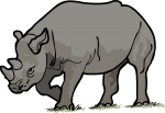 Rhinoceros freehand drawings