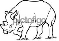 RhinocerosFreehand Image