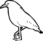 Kagu