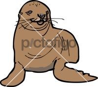 seal