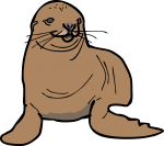 seal