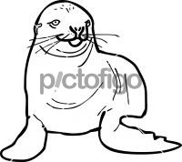 seal