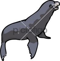 Sea LionFreehand Image