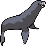 Sea Lion freehand drawings