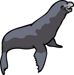 Sea Lion